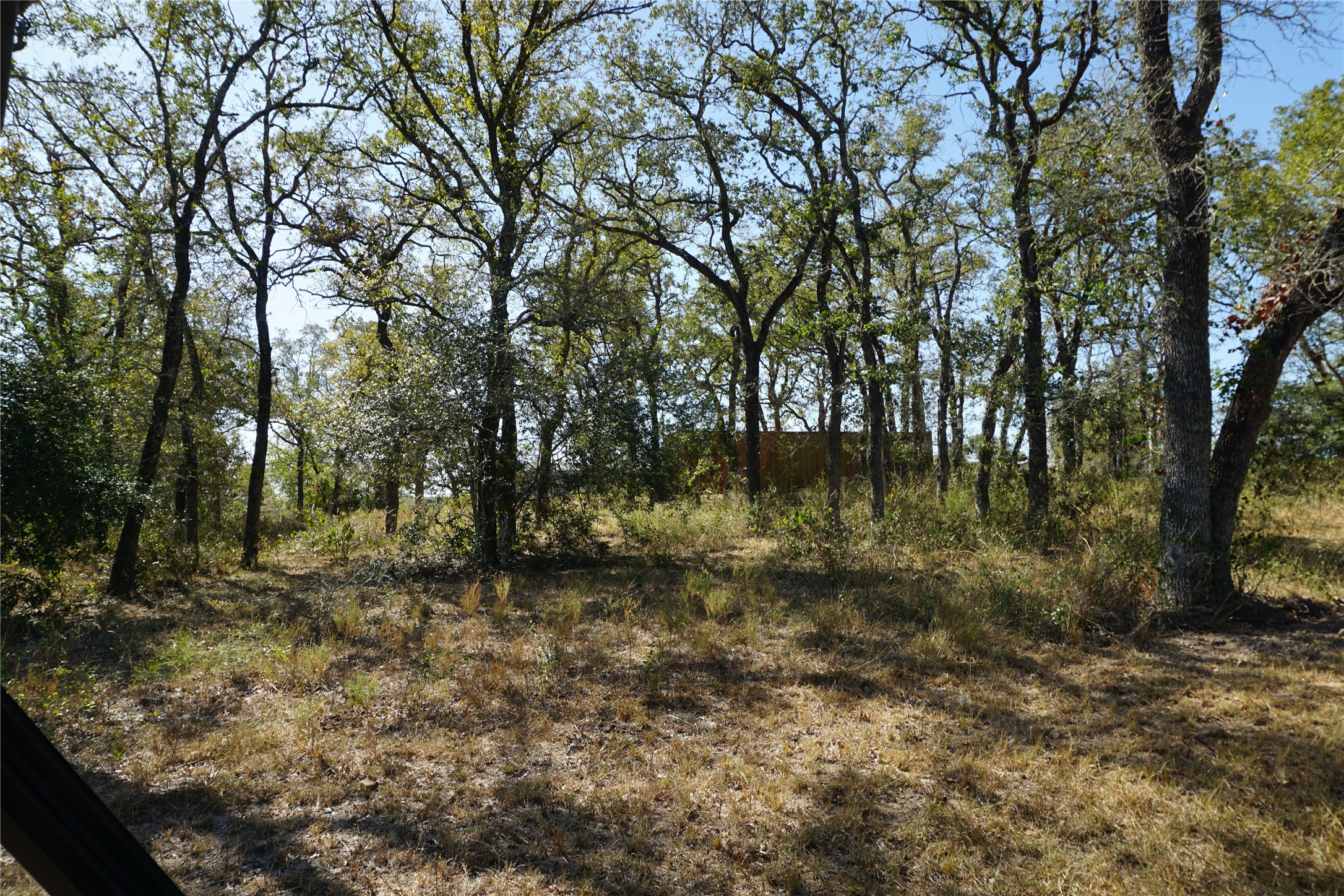 0 Old Seguin Luling Road Kingsbury, TX 78638 - Photo 24 of 27 a view of a forest with trees in the background