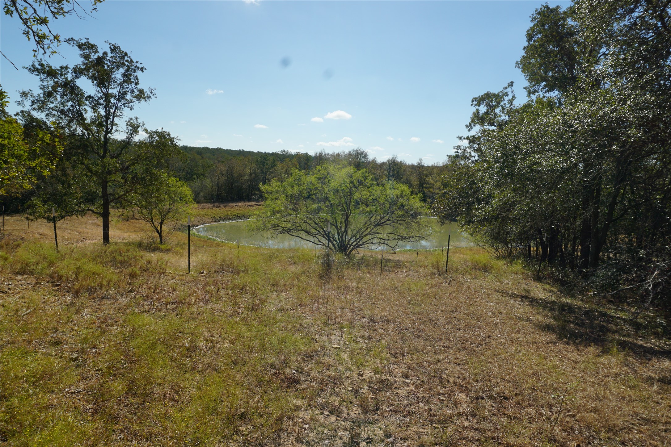 0 Old Seguin Luling Road Kingsbury, TX 78638 - Photo 26 of 27 a view of a yard with a tree