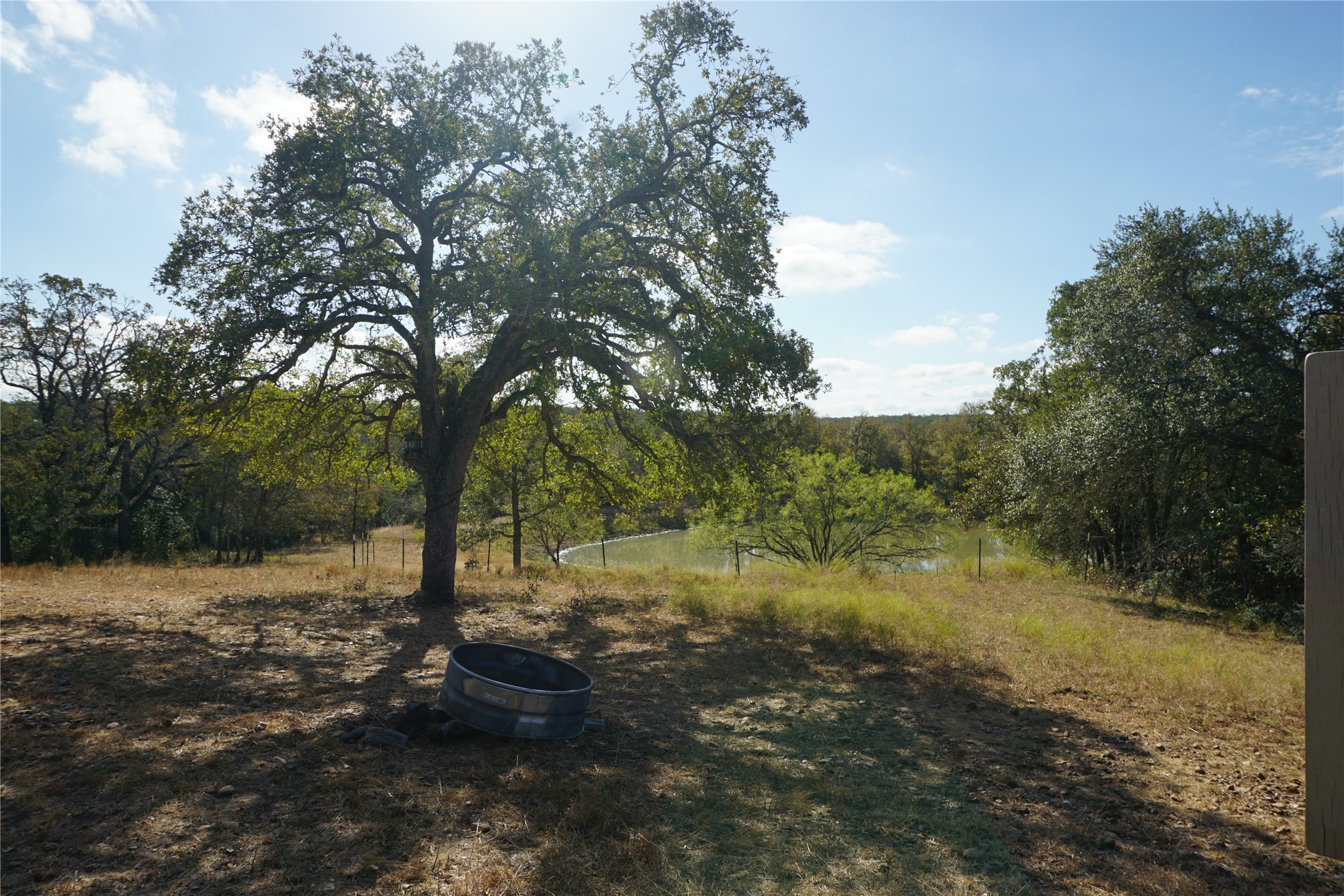 0 Old Seguin Luling Road Kingsbury, TX 78638 - Photo 5 of 27 a view of a tree in the middle of a yard