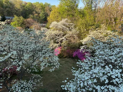 $1,675,000 | 3630 37th Street North, Arlington, VA 22207