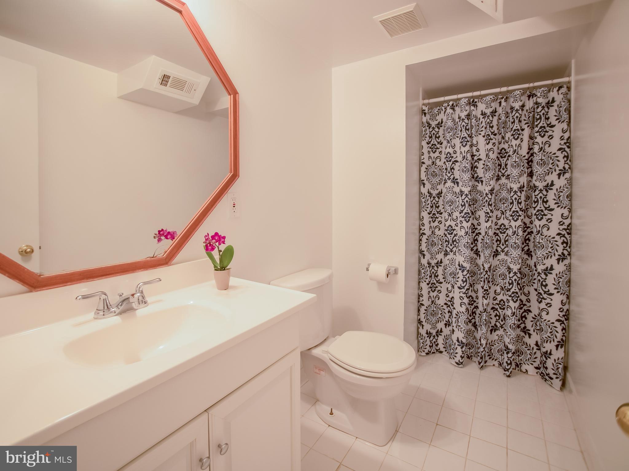 1028 Gilbert Road Rockville, MD 20851 - Photo 16 of 26 Bath