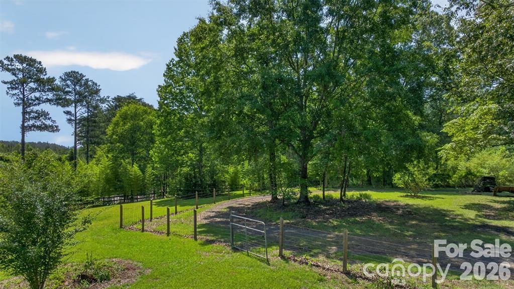 66 Misery Ridge Mill Spring, NC 28756 - Photo 7 of 43