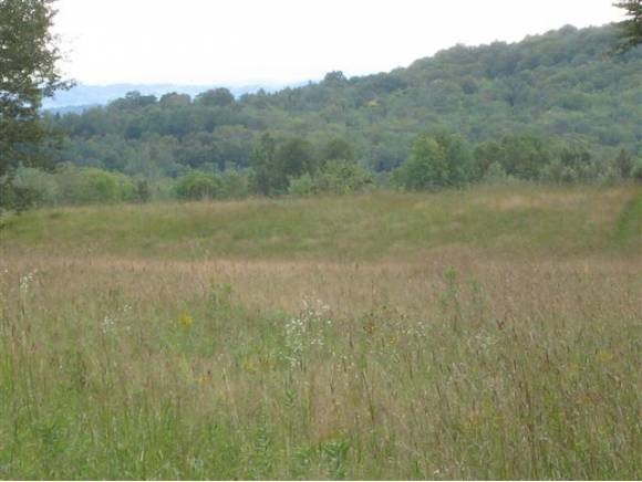 0 Off Locust Ridge Road East Burke, VT 08532 - Photo 1 of 1 Gallery Image 1