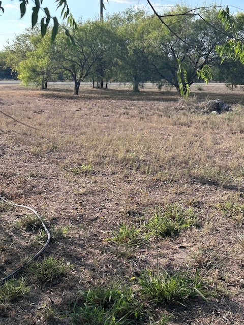 5452 Fm 666 Street Mathis, TX 78368 - Photo 14 of 17 a view of outdoor space with trees