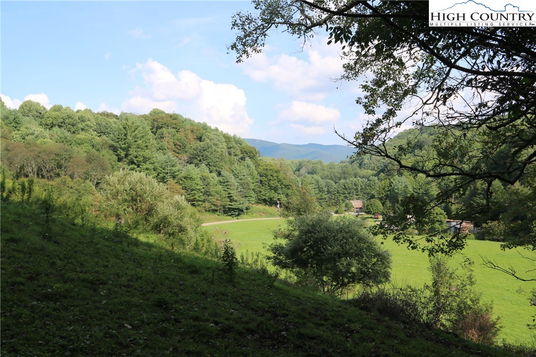 Baldwin Gap Road Creston, NC 28615 - Photo 12 of 16 Gallery Image 12