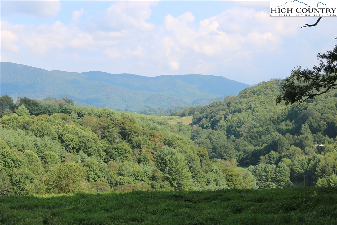 Baldwin Gap Road Creston, NC 28615 - Photo 10 of 16 Gallery Image 10