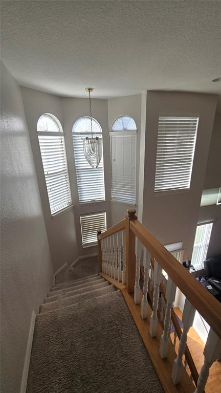 1050 Starkey Road, Unit 601 Largo, FL 33771 - Photo 34 of 41