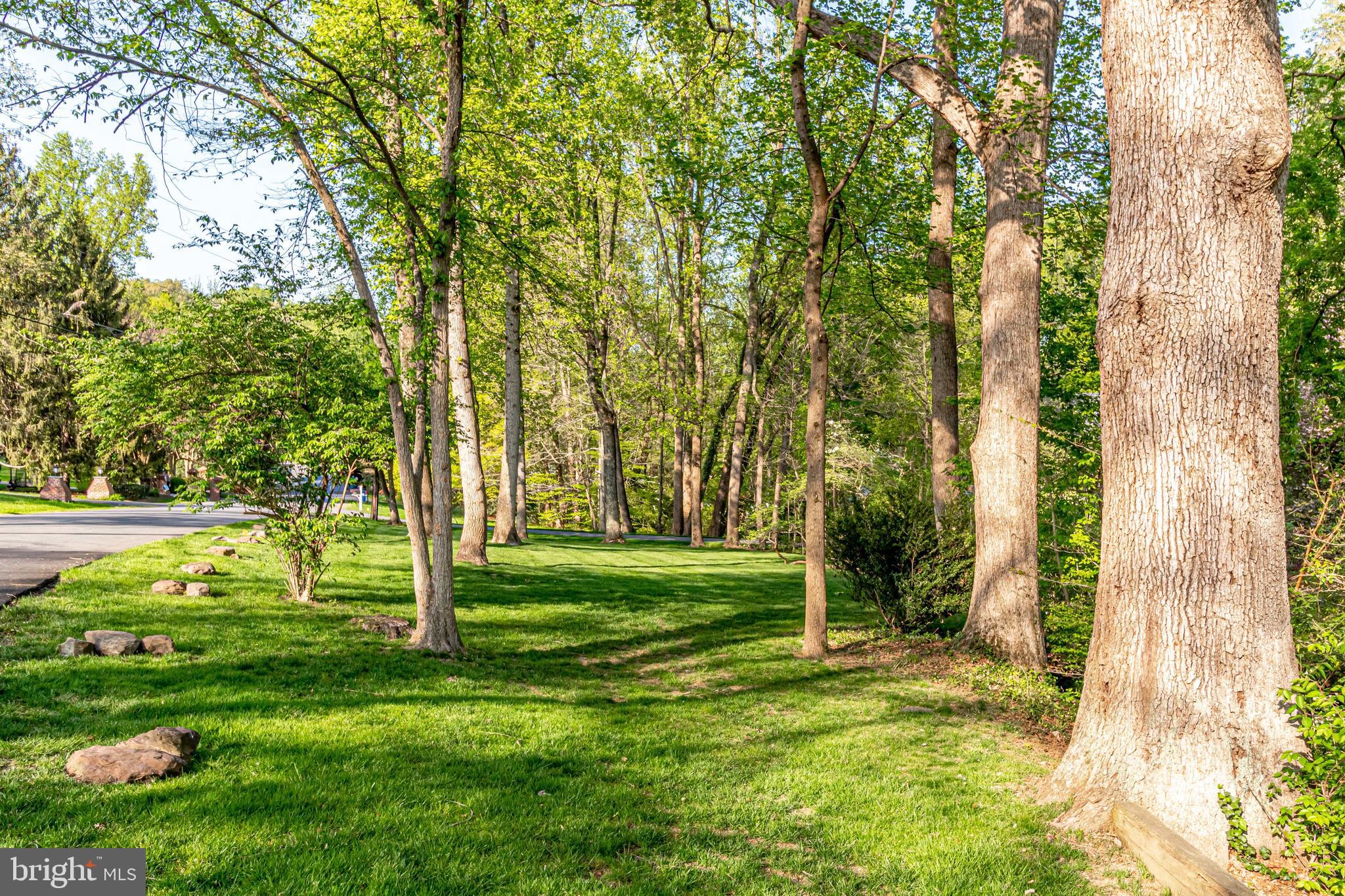 1125 Basil Road McLean, VA 22101 - Photo 58 of 66