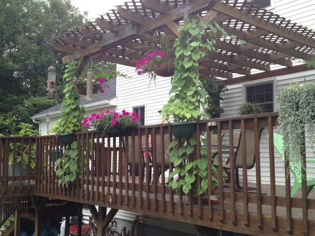 42 Tirrell Road Bedford, NH 03110 - Photo 27 of 28