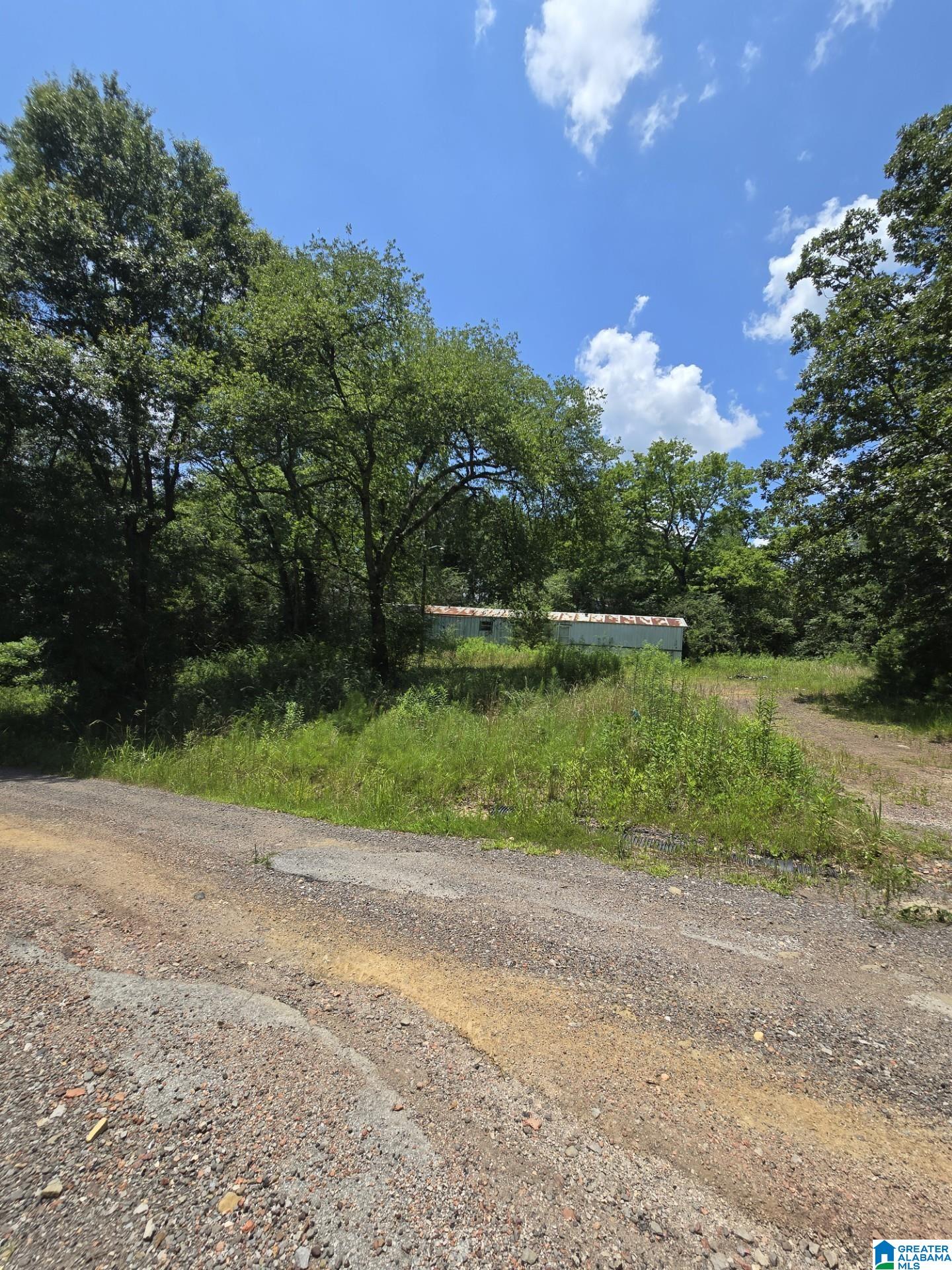39 Thomas Road Cordova, AL 35550 - Photo 3 of 7
