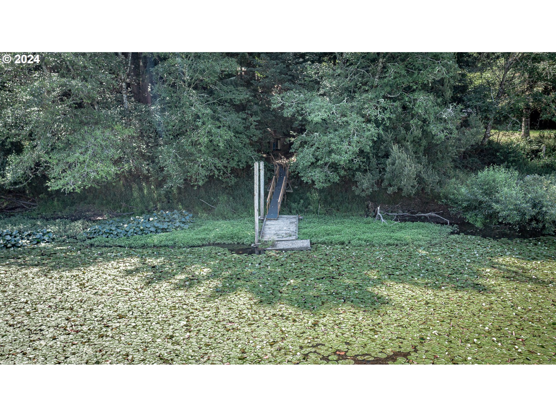 96455 Blocks Shady Lane Lakeside, OR 97449 - Photo 39 of 48