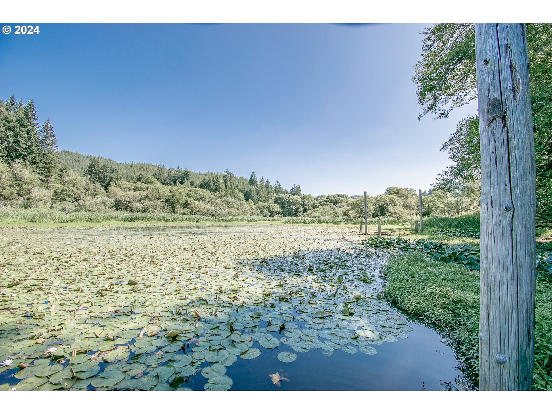 96455 Blocks Shady Lane Lakeside, OR 97449 - Photo 40 of 48