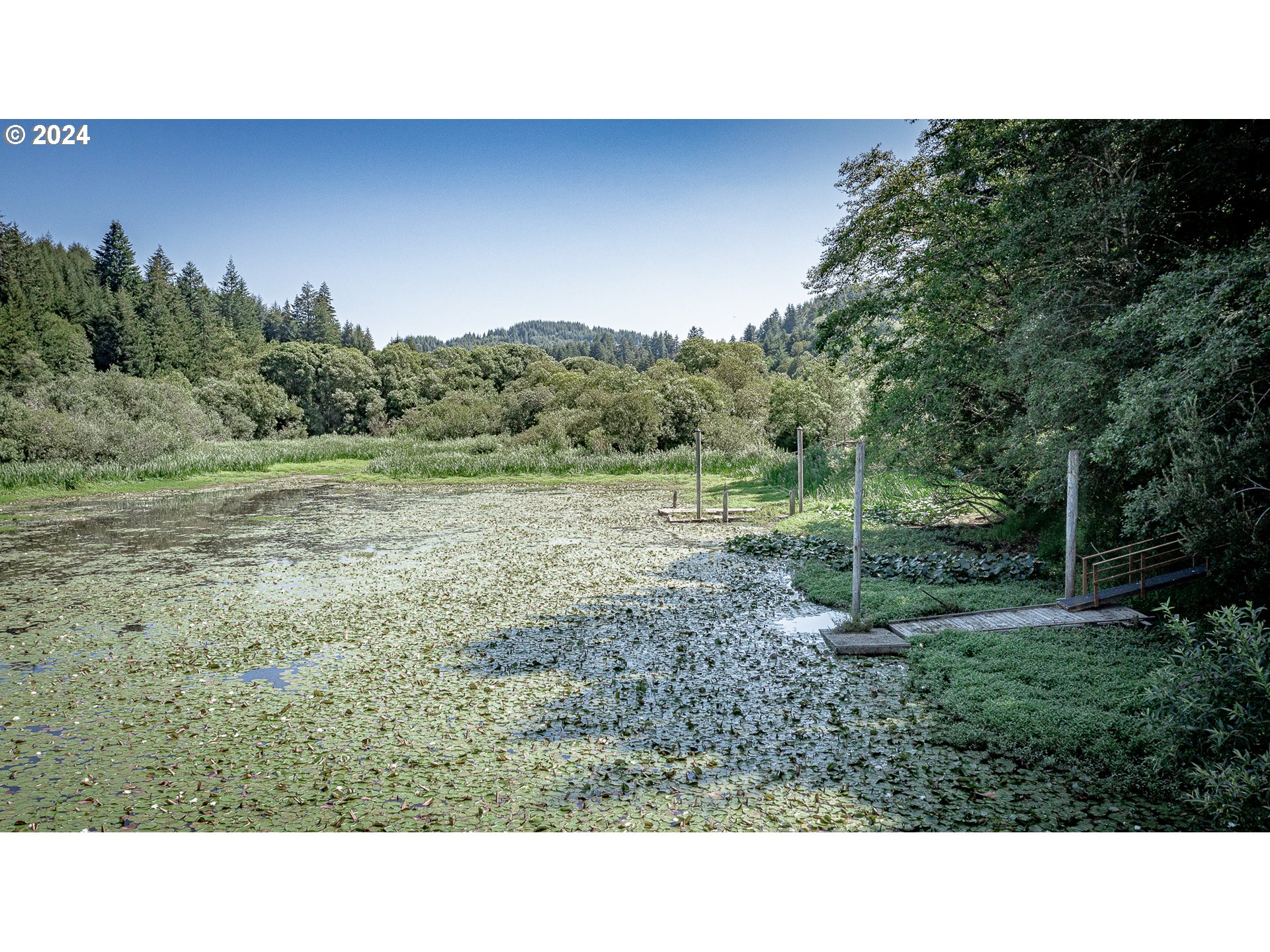 96455 Blocks Shady Lane Lakeside, OR 97449 - Photo 47 of 48