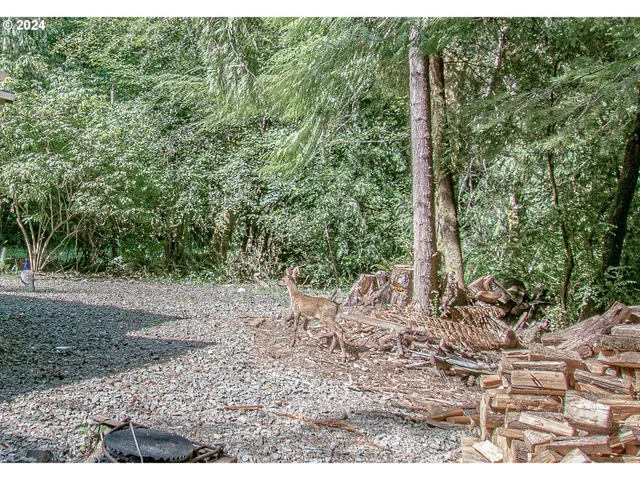 $229,000 | 96455 Blocks Shady Lane, Lakeside, OR 97449