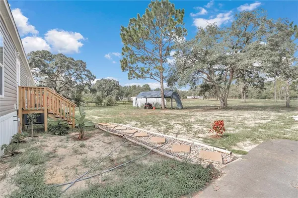 a view of dirt field with trees