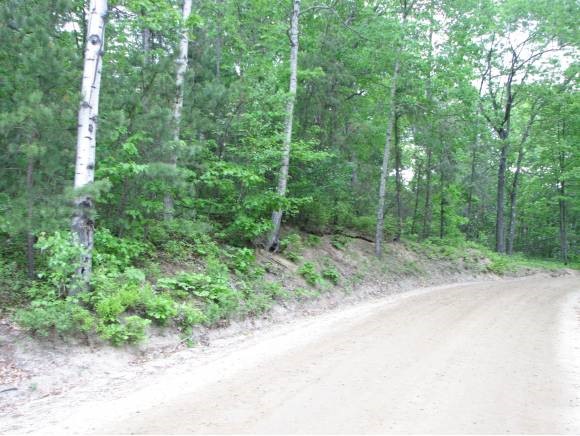 Lot 4 Huckins Road Freedom, NH 03836 - Photo 1 of 1