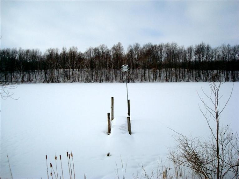 4415 Gravel Ridge Road Coral, MI 49322 - Photo 3 of 20 Additional Photo