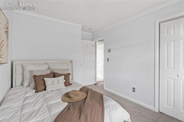 15535 Softwood Road Elbert, CO 80106 - Photo 21 of 47 Carpeted bedroom with crown molding and baseboards