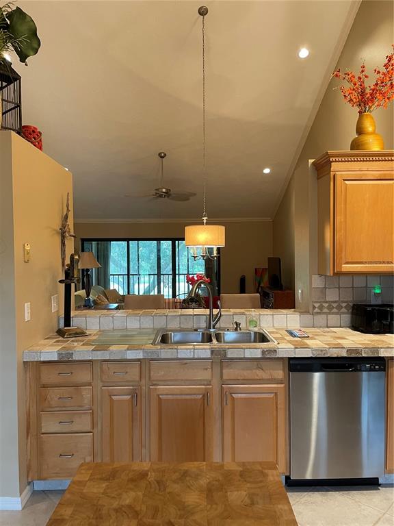 1801 East Lake Road South, Unit 8E Palm Harbor, FL 34685 - Photo 6 of 25