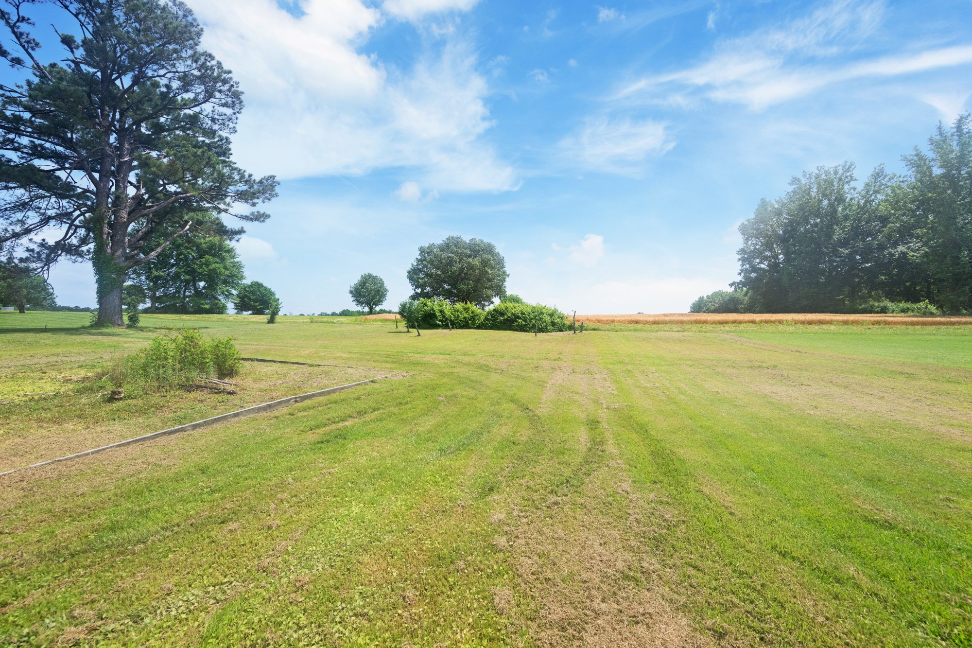 300 Buena Vista Road Huntingdon, TN 38344 - Photo 19 of 23 a view of an ocean and beach