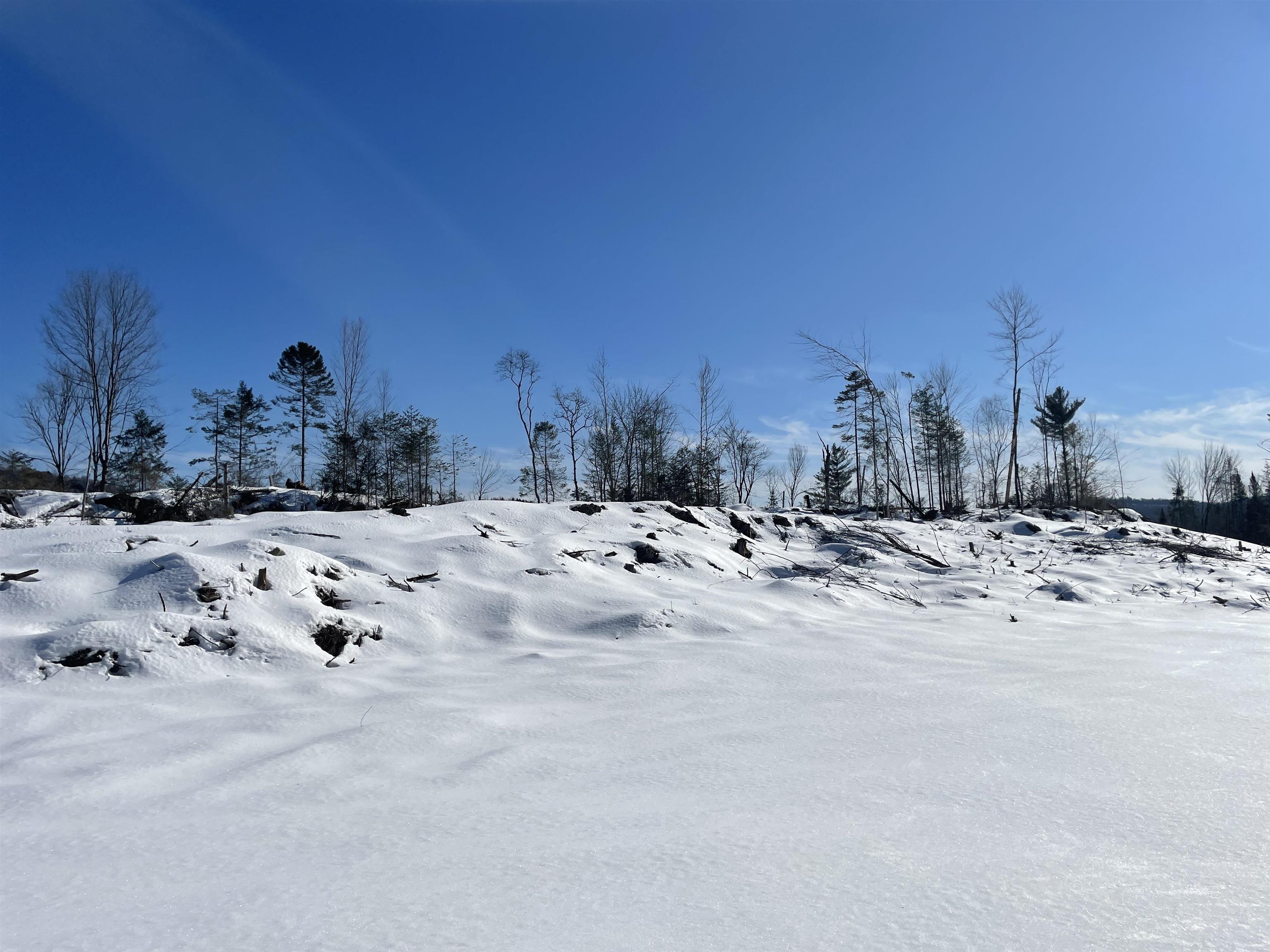 0 Bunker Hill Road Hardwick, VT 05843 - Photo 6 of 12