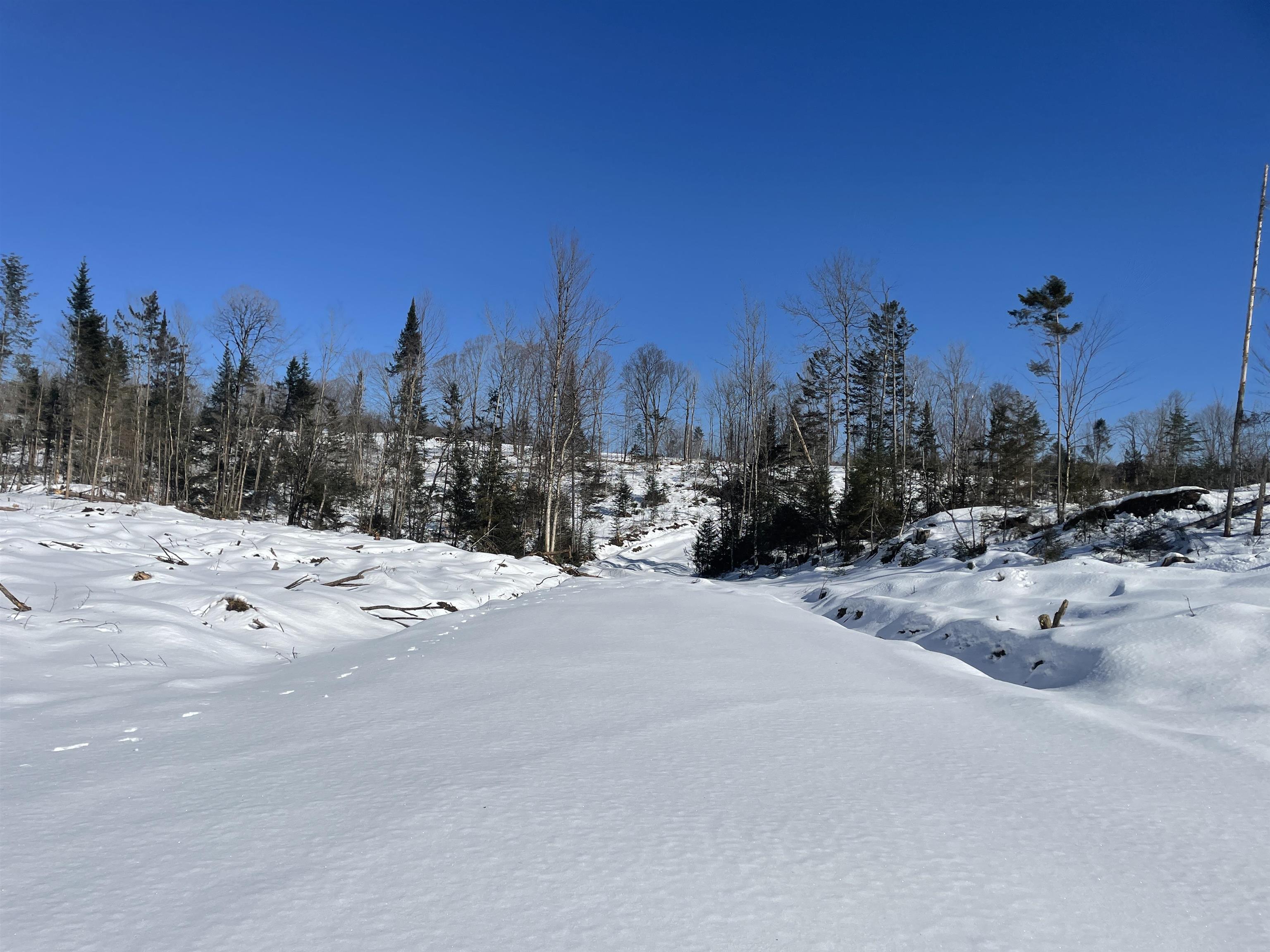 0 Bunker Hill Road Hardwick, VT 05843 - Photo 8 of 12