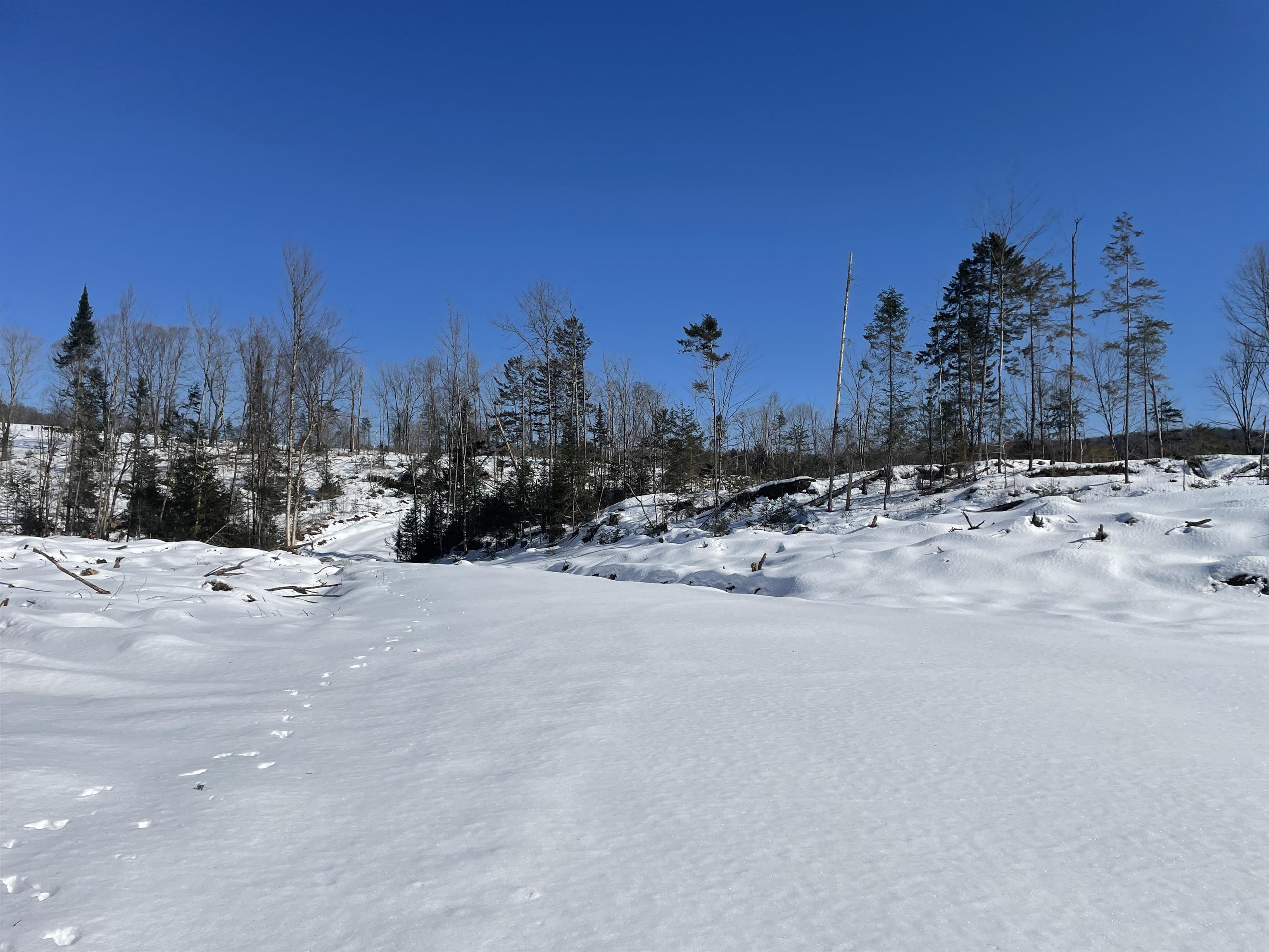 0 Bunker Hill Road Hardwick, VT 05843 - Photo 9 of 12
