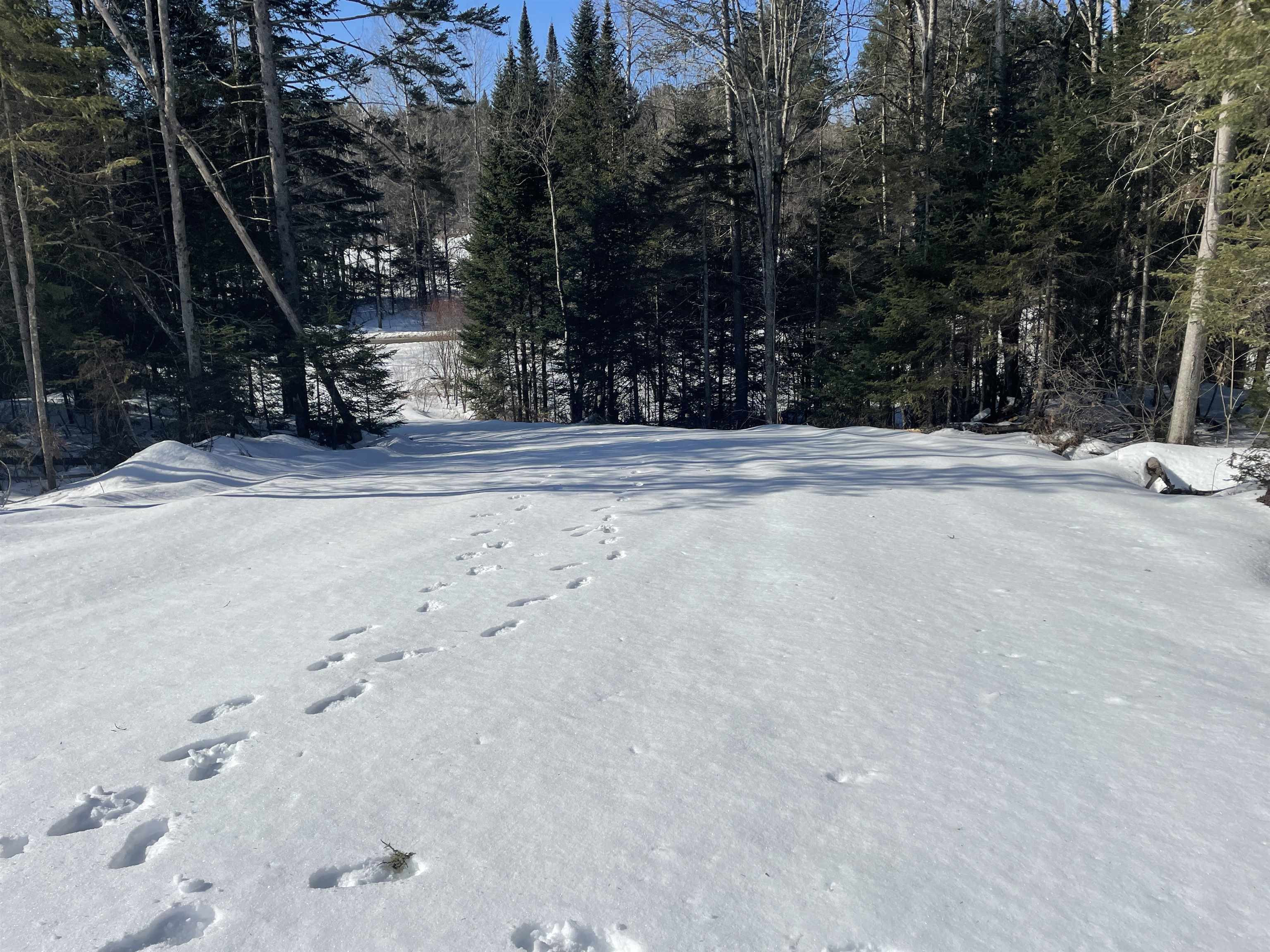 0 Bunker Hill Road Hardwick, VT 05843 - Photo 10 of 12