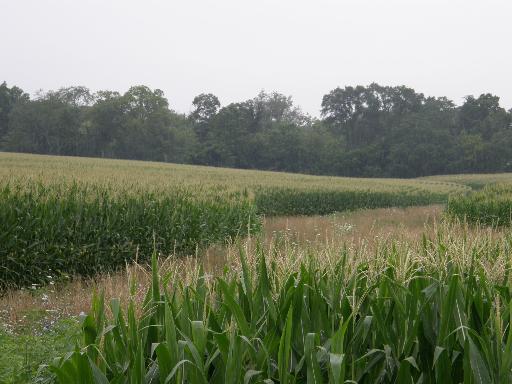 600 Oak Grove Road Byron, IL 61010 - Photo 4 of 6