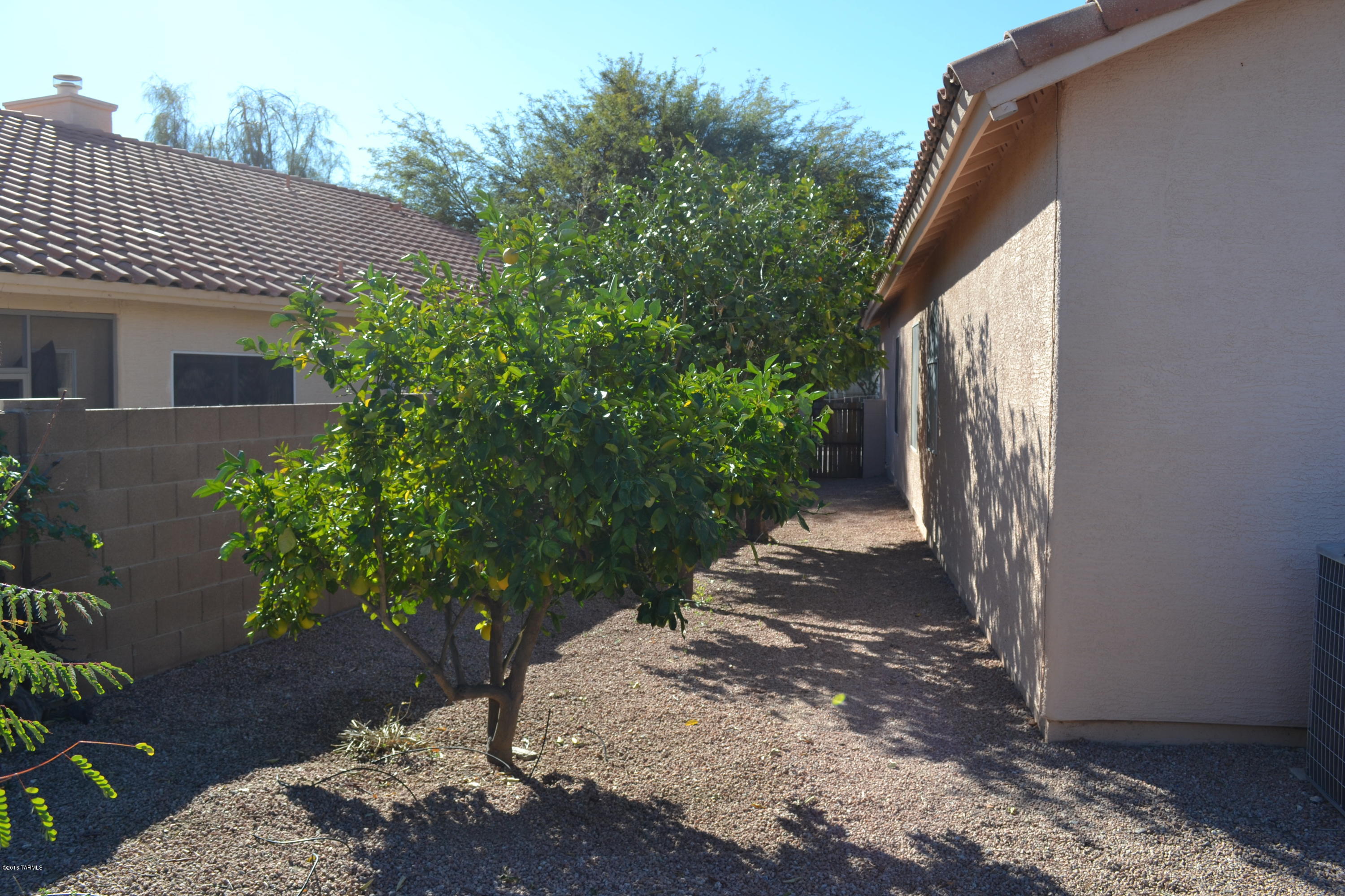 5640 North Cherokee Ridge Road Tucson, AZ 85750 - Photo 30 of 39 a view of backyard with plants and trees