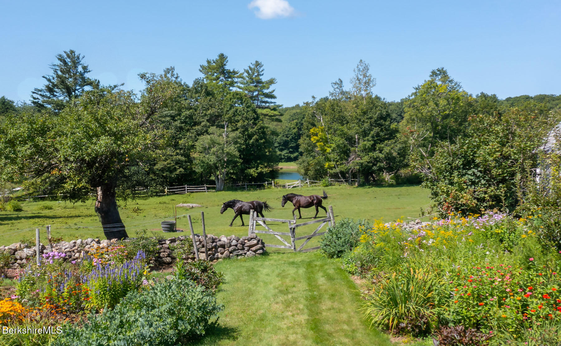 764 East Hill Road New Marlborough, MA 01259 - Photo 4 of 82 005_2 horses