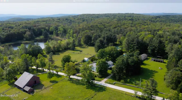 a garden view with a seating space