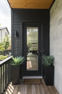 a potted plant sitting in front of a house