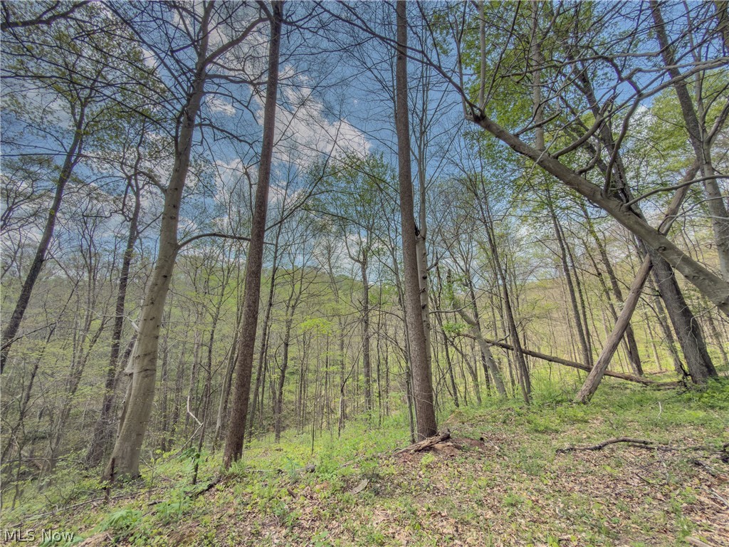 Beardmore Road Wingett Run, OH 45789 - Photo 32 of 43