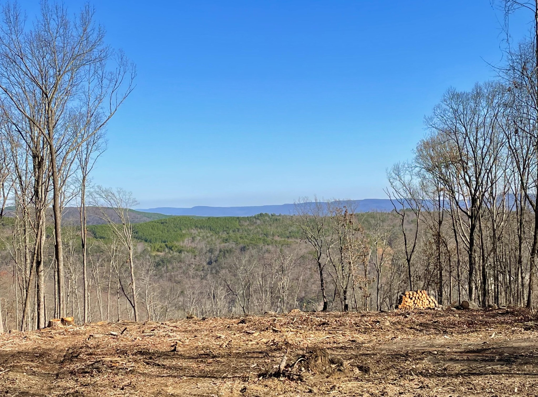 718 Wheeler Road Dunlap, TN 37327 - Photo 17 of 21 Gallery Image 17