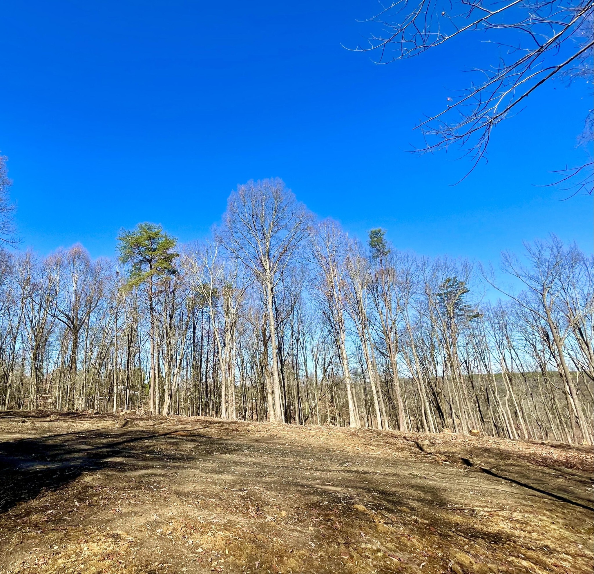 718 Wheeler Road Dunlap, TN 37327 - Photo 19 of 21 Gallery Image 19
