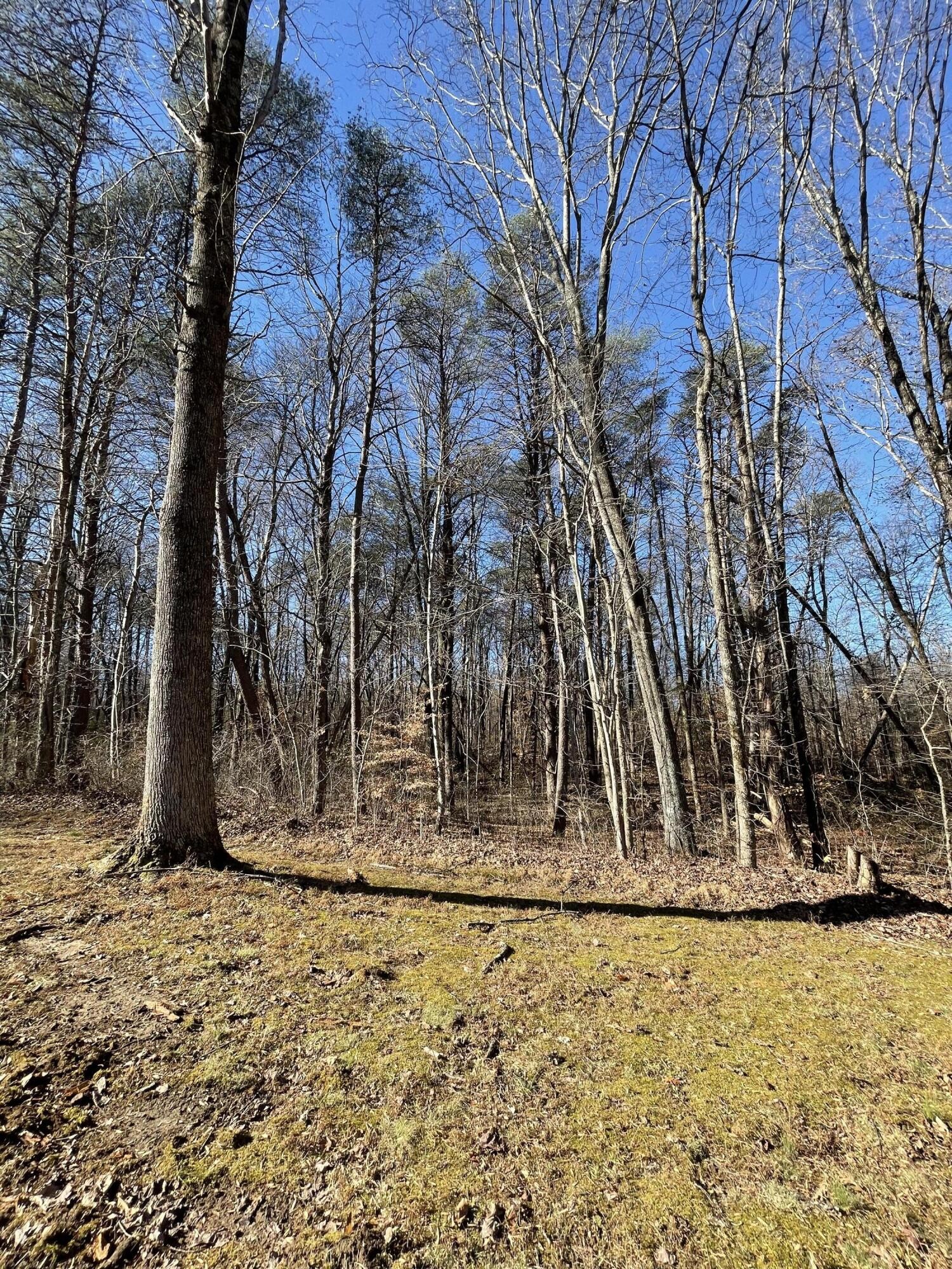 718 Wheeler Road Dunlap, TN 37327 - Photo 21 of 21 Gallery Image 21