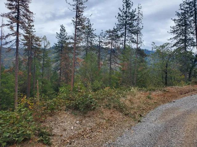 $23,000 | Racoon Drive, Lakehead, CA 96051