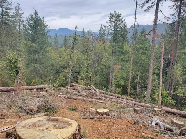 $23,000 | Racoon Drive, Lakehead, CA 96051