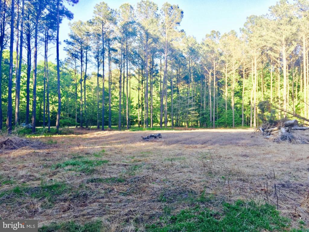 Sam Barnes Road Westover, MD 21871 - Photo 1 of 12