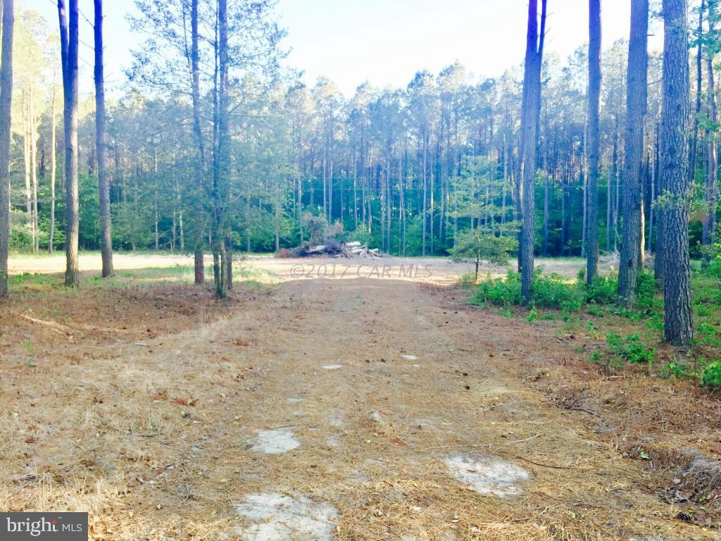 Sam Barnes Road Westover, MD 21871 - Photo 2 of 12