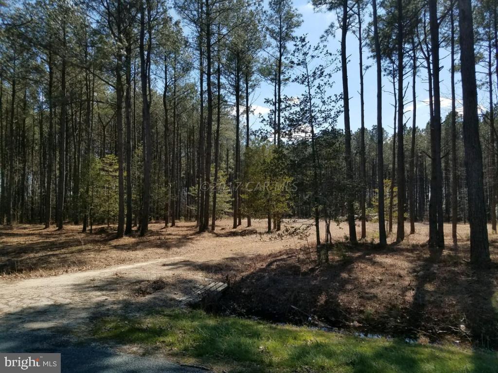 Sam Barnes Road Westover, MD 21871 - Photo 11 of 12
