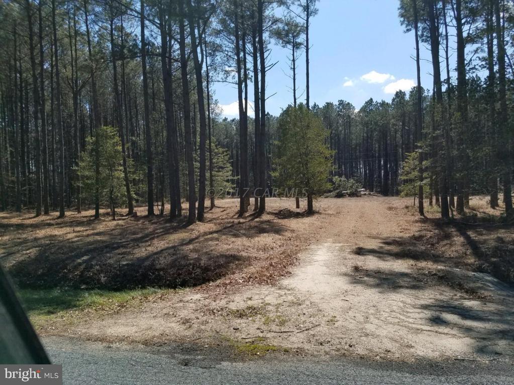 Sam Barnes Road Westover, MD 21871 - Photo 3 of 12