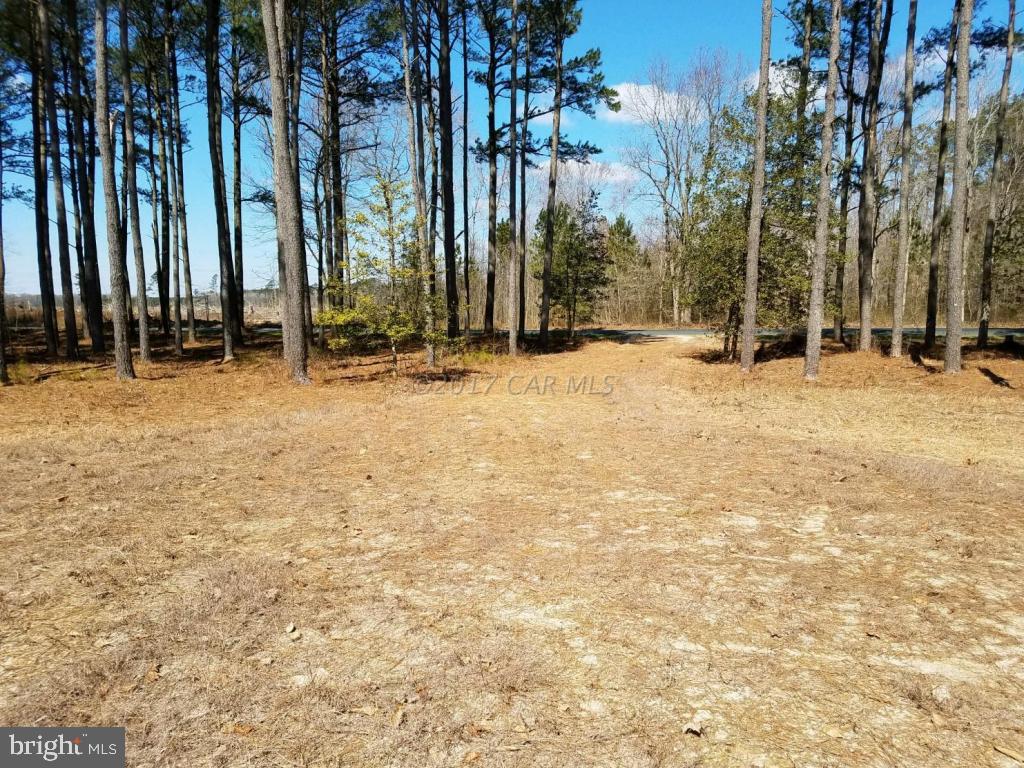 Sam Barnes Road Westover, MD 21871 - Photo 6 of 12