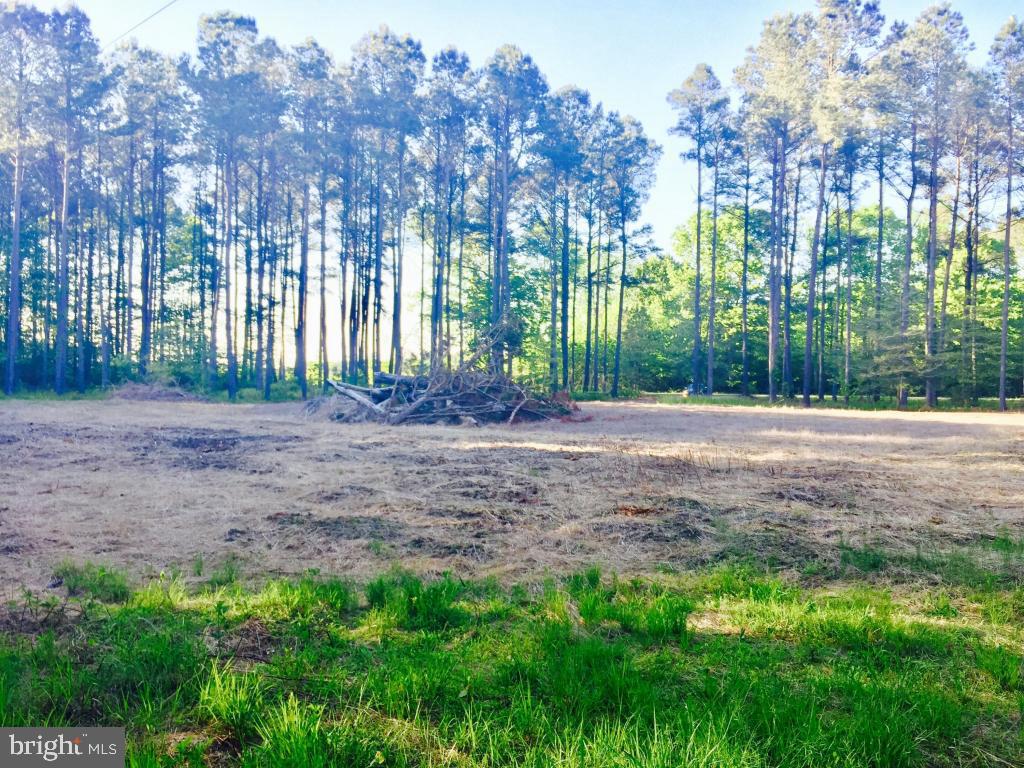 Sam Barnes Road Westover, MD 21871 - Photo 8 of 12