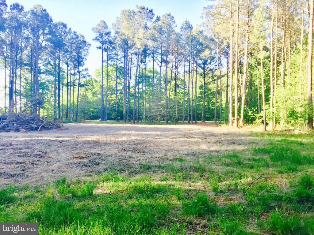 Sam Barnes Road Westover, MD 21871 - Photo 10 of 12