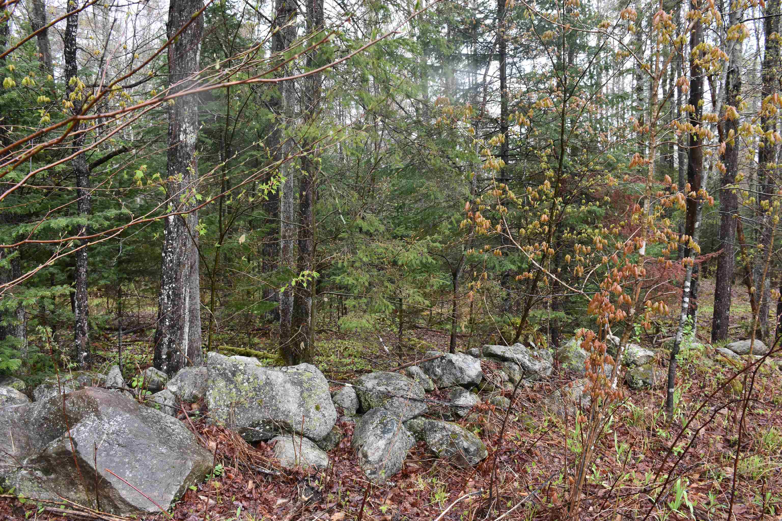 120 Darling Road Marshfield, VT 05658 - Photo 50 of 60