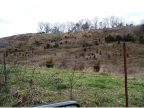 0 Justice Road, Unit 1 Afton, TN 37616 - Photo 8 of 8 Photo 8