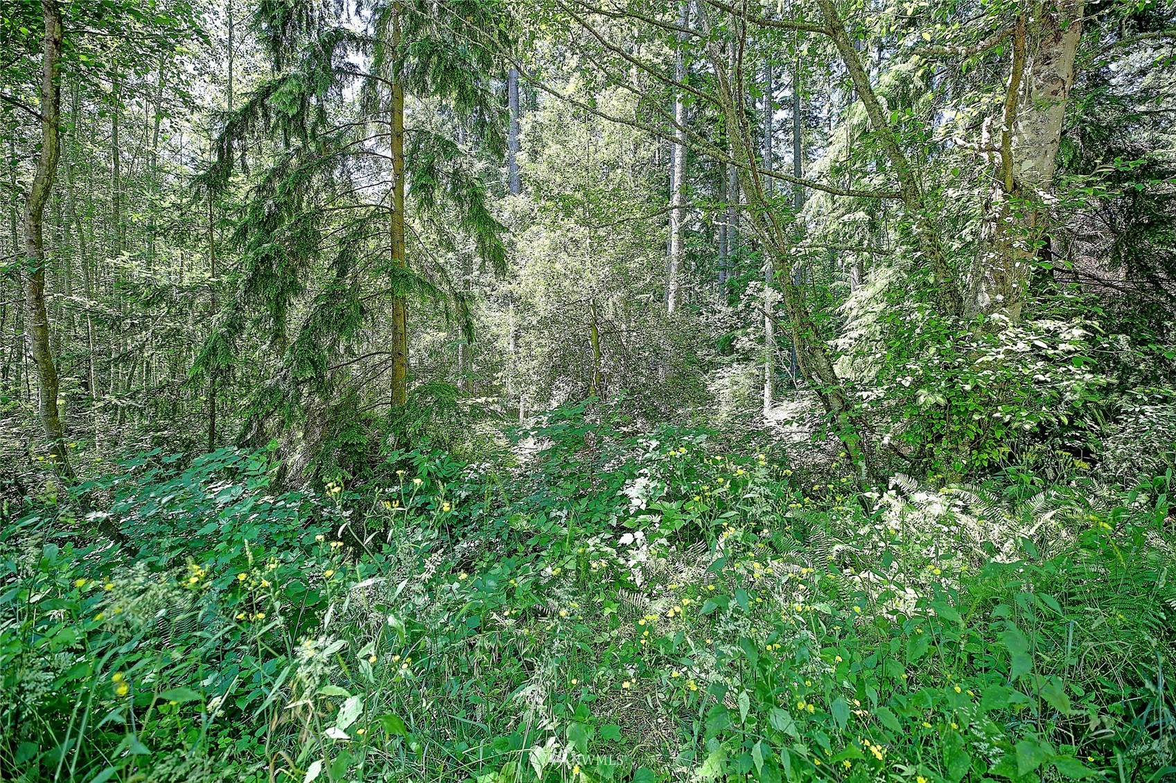 229 North Camano Ridge Road Camano Island, WA 98282 - Photo 8 of 14 Gallery Image 8