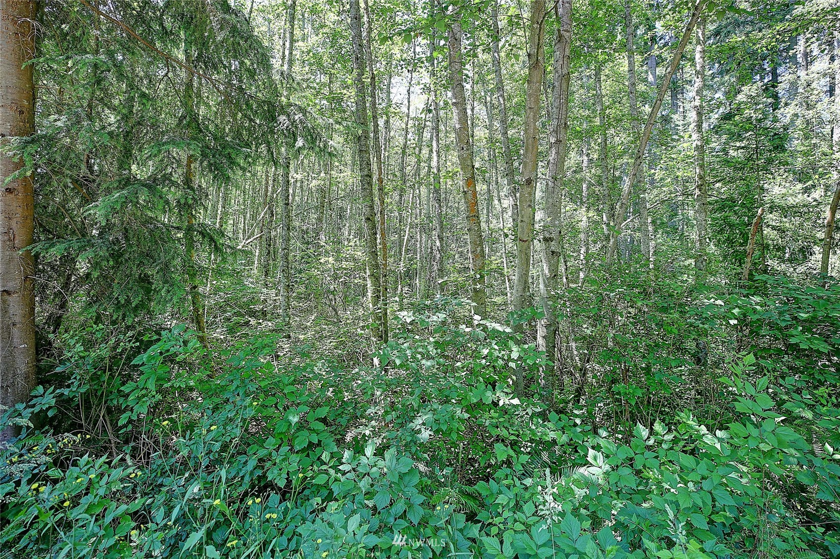 229 North Camano Ridge Road Camano Island, WA 98282 - Photo 9 of 14 Gallery Image 9